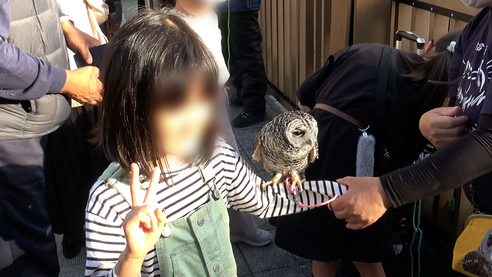 ふくろうと記念撮影する女の子2