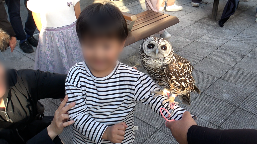 ふくろうと記念撮影する男の子1